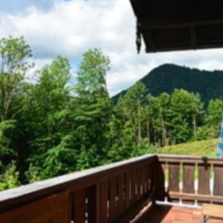 Gasthaus Miesenbach Värdshus Ruhpolding